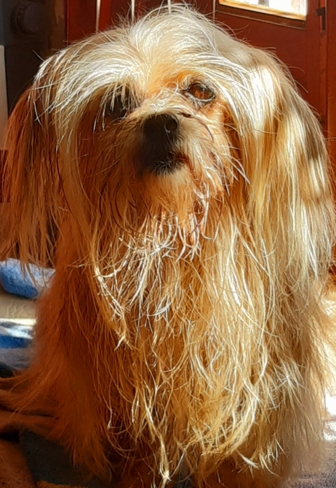 Mirada inocente