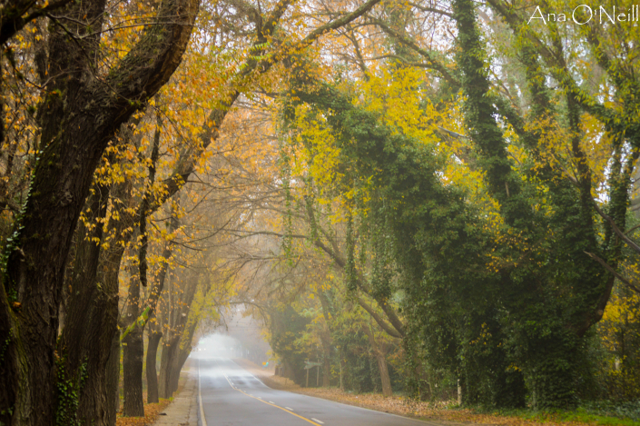 Niebla de Otoño Autora: Ana O'neill
